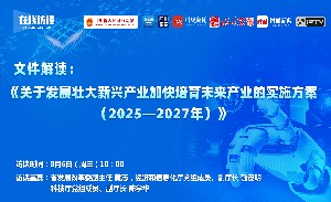 文件解读：《关于发展壮大新兴产业加快培育未来产业的实施方案（2025—2027年）》